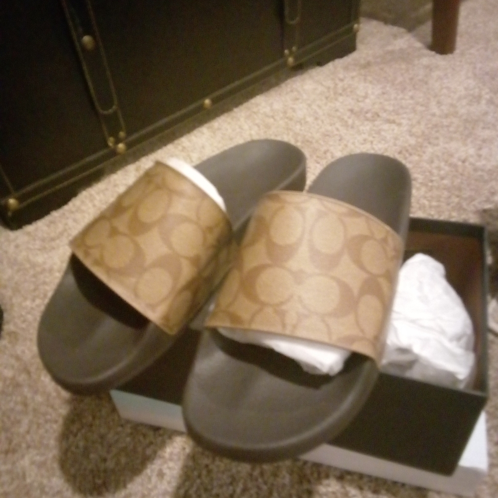 Men's Coach Slippers